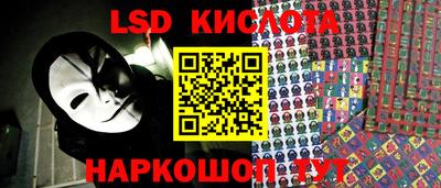 a pvp Брянск