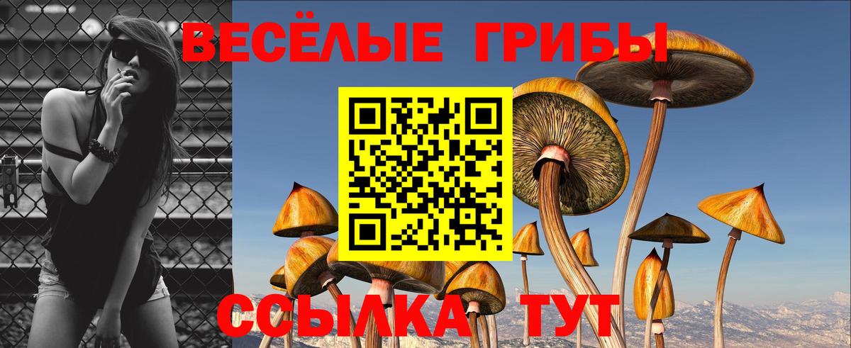 Псилоцибиновые грибы Magic Shrooms Рузаевка