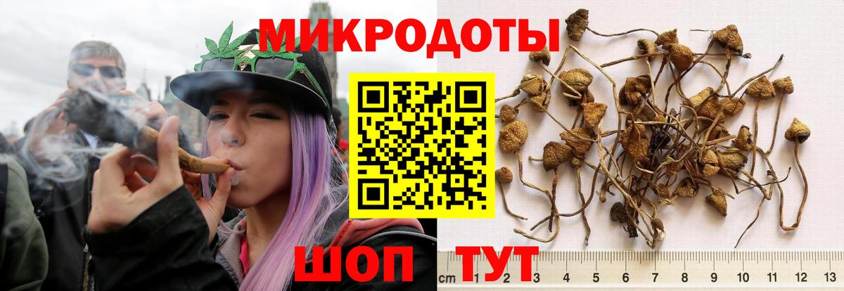 Галлюциногенные грибы Psilocybine cubensis  Вход с VPN  цена наркотик  Рузаевка  Галлюциногенные грибы Magic Shrooms 